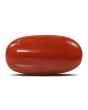 Red Coral (Moonga) - 5.37 Carat 