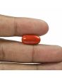 Red Coral (Moonga) - 5.37 Carat 