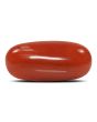 Red Coral (Moonga) - 6.84 Carat 