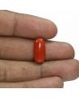 Red Coral (Moonga) - 6.84 Carat 
