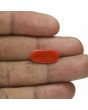 Red Coral (Moonga) - 6.84 Carat 