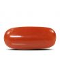Red Coral (Moonga) - 6.78 Carat 