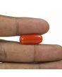 Red Coral (Moonga) - 6.78 Carat 