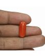 Red Coral (Moonga) - 6.78 Carat 
