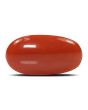 Red Coral (Moonga) - 5.31 Carat 