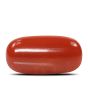 Red Coral (Moonga) - 7.99 Carat 