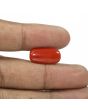Red Coral (Moonga) - 7.99 Carat 