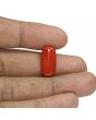 Red Coral (Moonga) - 7.99 Carat 