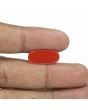 Red Coral (Moonga) - 6.05 Carat 