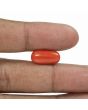 Red Coral (Moonga) - 5.43 Carat 