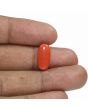 Red Coral (Moonga) - 5.43 Carat 