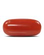 Red Coral (Moonga) - 6.25 Carat 