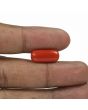 Red Coral (Moonga) - 6.25 Carat 