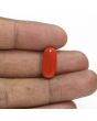 Red Coral (Moonga) - 6.25 Carat 