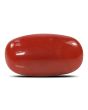 Red Coral (Moonga) - 6.68 Carat 