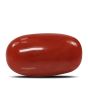 Red Coral (Moonga) - 5.28 Carat 