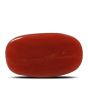 Red Coral (Moonga) - 5.28 Carat 