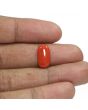 Red Coral (Moonga) - 5.28 Carat 