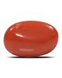 Red Coral (Moonga) - 5.79 Carat 