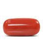 Red Coral (Moonga) - 5.8 Carat 