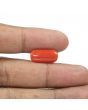 Red Coral (Moonga) - 5.8 Carat 