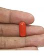 Red Coral (Moonga) - 5.8 Carat 