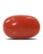 Red Coral (Moonga) - 6.5 Carat 