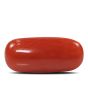Red Coral (Moonga) - 6.52 Carat 