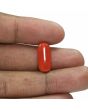 Red Coral (Moonga) - 6.52 Carat 