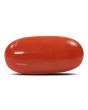 Red Coral (Moonga) - 5.31 Carat 