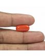 Red Coral (Moonga) - 5.31 Carat 