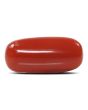 Red Coral (Moonga) - 6.8 Carat 