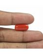 Red Coral (Moonga) - 6.8 Carat 