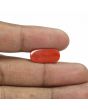 Red Coral (Moonga) - 6.8 Carat 