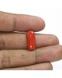 Red Coral (Moonga) - 6.8 Carat 