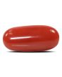 Red Coral (Moonga) - 5.51 Carat 
