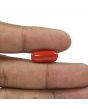 Red Coral (Moonga) - 5.51 Carat 