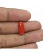 Red Coral (Moonga) - 5.51 Carat 