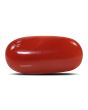 Red Coral (Moonga) - 6.27 Carat 