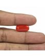 Red Coral (Moonga) - 6.27 Carat 