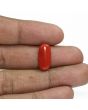 Red Coral (Moonga) - 6.27 Carat 