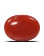 Red Coral (Moonga) - 5.08 Carat 
