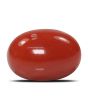 Red Coral (Moonga) - 5.88 Carat 