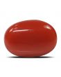 Red Coral (Moonga) - 5.88 Carat 