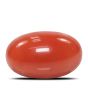 Red Coral (Moonga) - 6.36 Carat 