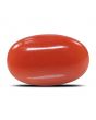 Red Coral (Moonga) - 6.36 Carat 