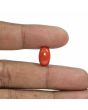 Red Coral (Moonga) - 6.36 Carat 