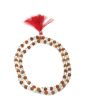 Crystal Rudraksha Mala GJSPC Certified 108+1 Beads 