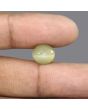 Quartz Cat's Eye - 6.39 Carat 