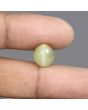 Quartz Cat's Eye - 6.39 Carat 